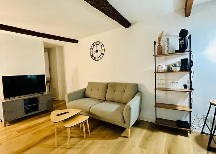 T3 Au Coeur De - Castillet & Cathedrale - Wi-fi Perpignan